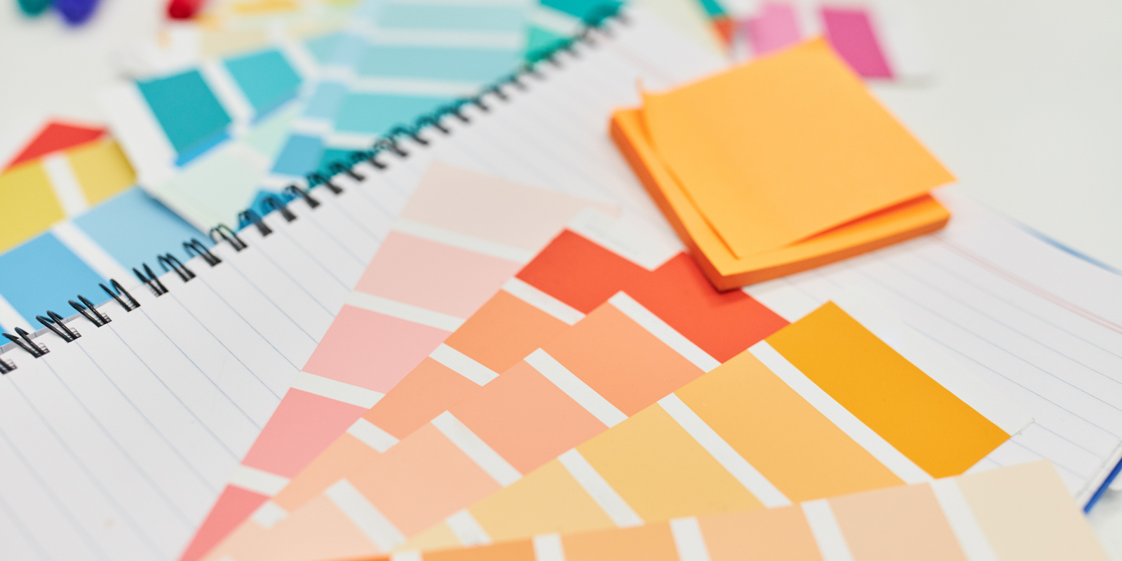 plusieurs feuilles en différentes couleurs